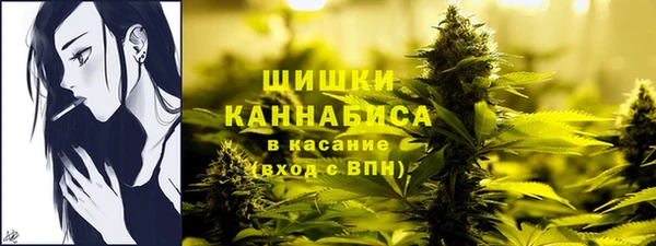 дживик Козловка