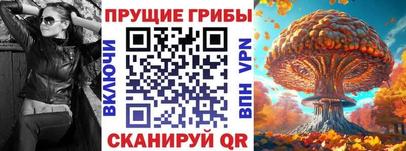 Псилоцибиновые грибы Psilocybe  Купить  Кизляр 